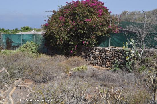  Terreno en Tijoco Bajo - SANTA CRUZ DE TENERIFE 