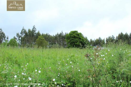 Parcela urbanizable de 3.400m2 en Paiosaco - A CORUÑA