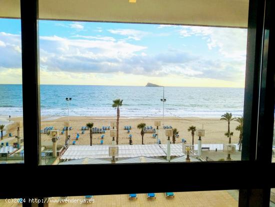  Apartamento en primera linea de playa Levante Benidorm www.euroloix.com - ALICANTE 