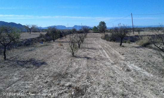 FINCA  EL SALADO A 2KM DE ABANILLA - MURCIA