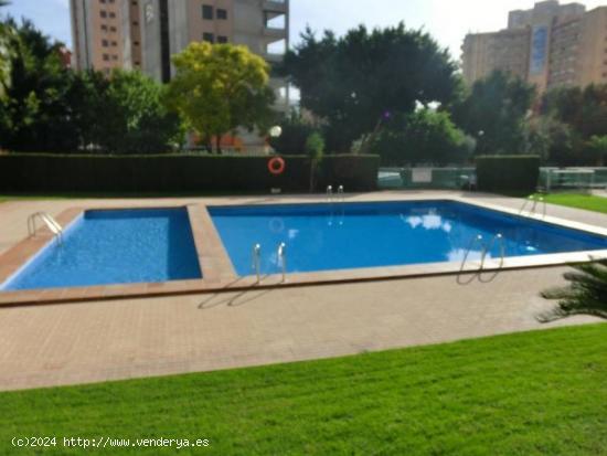 Precioso apartamento en Levante urbanización con piscina y parking - ALICANTE