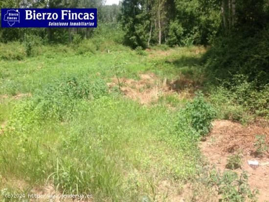  Se vende finca rustica en Dehesas - LEON 