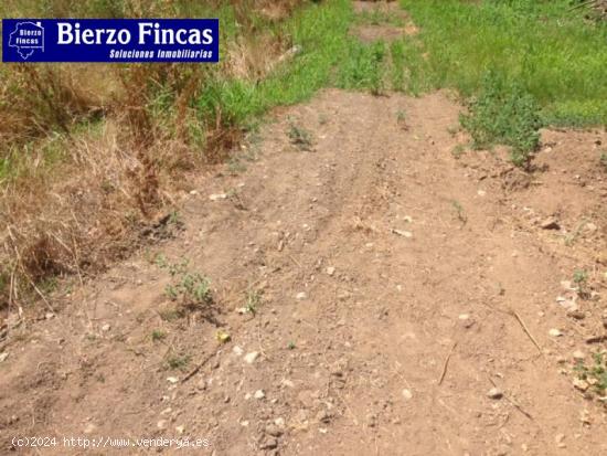 Se vende finca rustica en Dehesas - LEON