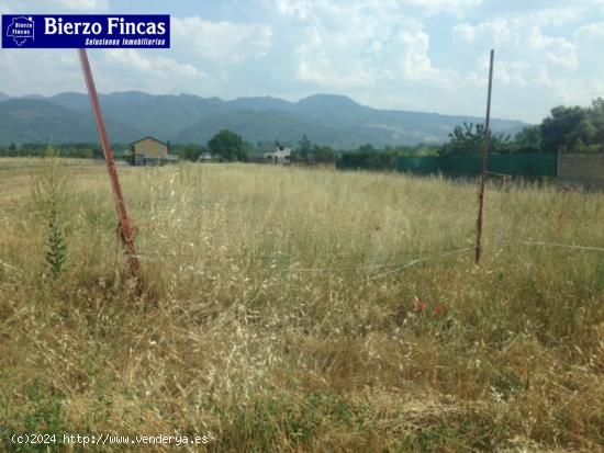 FINCA RUSTICA DE 5300 M2 EN DEHESAS - LEON