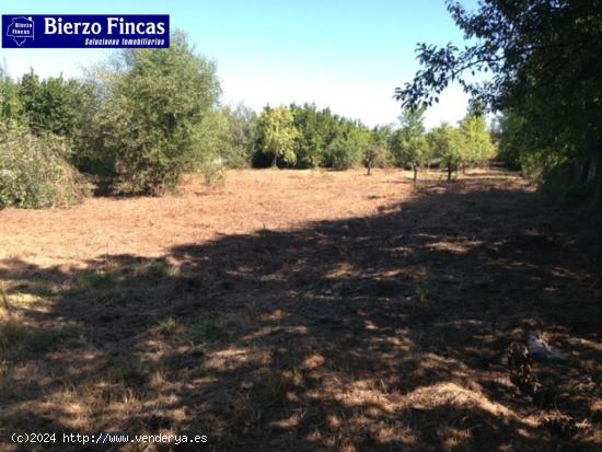 SE VENDE FINCA RUSTICA CON NAVE Y CUADRAS - LEON