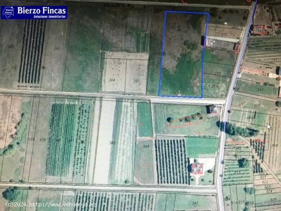  SE VENDE FINCA RUSTICA EN DEHESAS CON BUEN ACCESO - LEON 