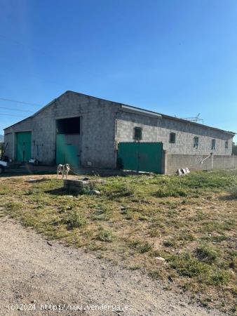 VENTA DE NAVE INDUSTRIAL CON PARCELA EN LAS CHANAS - LEON