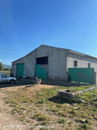 VENTA DE NAVE INDUSTRIAL CON PARCELA EN LAS CHANAS - LEON