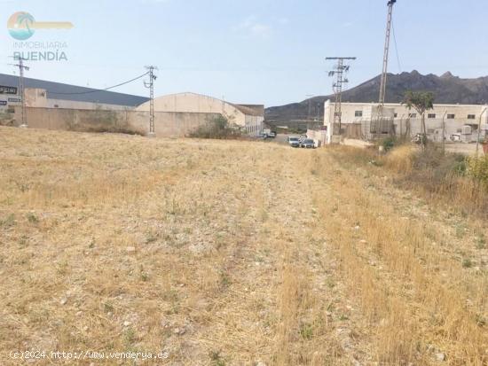 FINCA DE 26.000M CON POSIBILIDAD DE EXPLOTACION INDUSTRIAL - MURCIA