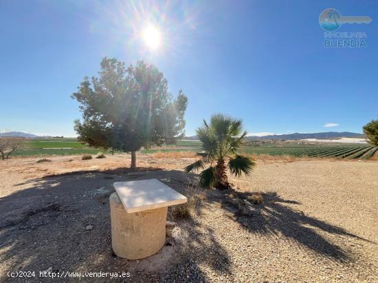 AMPLIA CASA DE CAMPO CON TERRENO PRODUCTIVO EN RAIGUERO BAJO , TOTANA - MURCIA