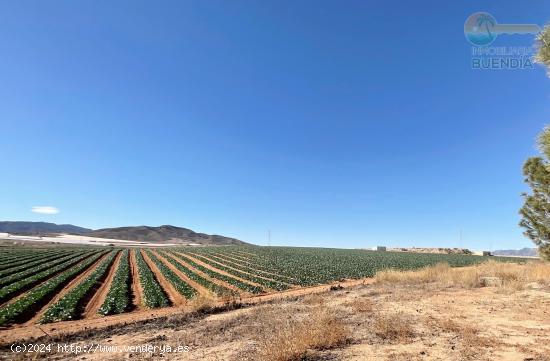 AMPLIA CASA DE CAMPO CON TERRENO PRODUCTIVO EN RAIGUERO BAJO , TOTANA - MURCIA