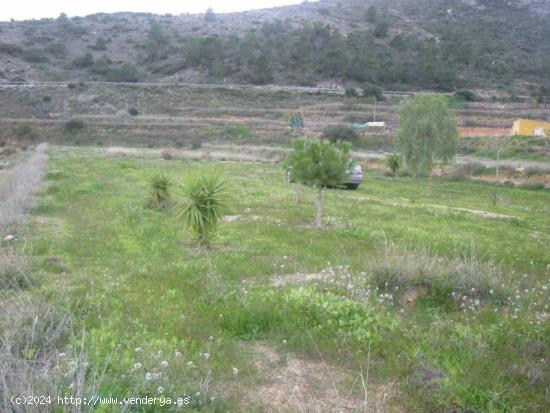 SE VENDE TERRENO EN ASPE - ALICANTE