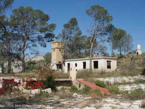 SE VENDE FINCA RÚSTICA EN MONFORTE DEL CID - ALICANTE