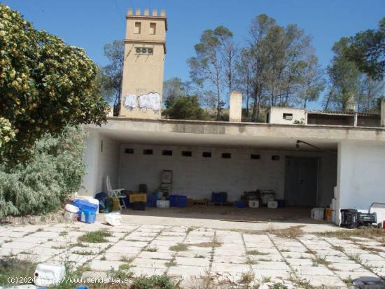 SE VENDE FINCA RÚSTICA EN MONFORTE DEL CID - ALICANTE