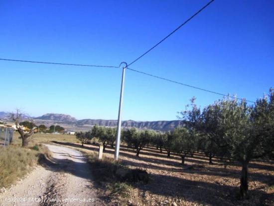 SE VENDE TERRENO EN SALINAS - ALICANTE