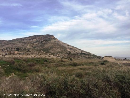  SE VENDE TERRENO EN NOVELDA - ALICANTE 