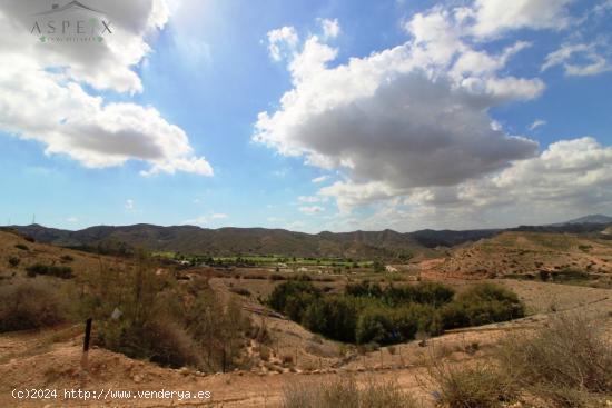 FINCA RUSTICA - ALICANTE