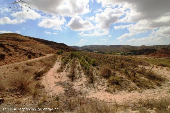 FINCA RUSTICA - ALICANTE