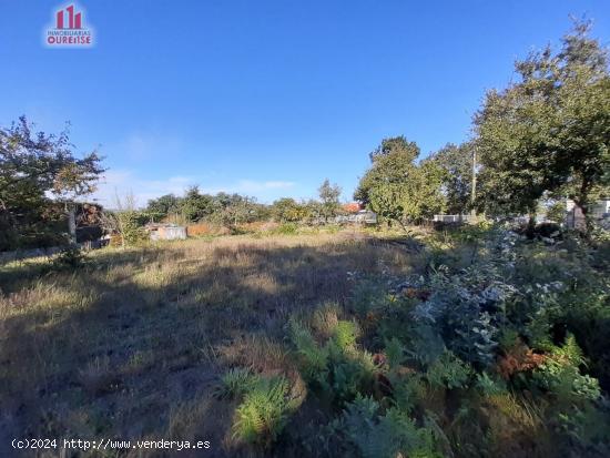 FINCA EDIFICABLE SITUADA EN RANTE. - ORENSE