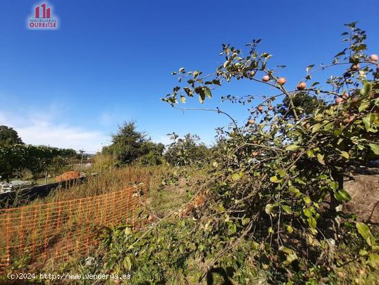 FINCA EDIFICABLE SITUADA EN RANTE. - ORENSE