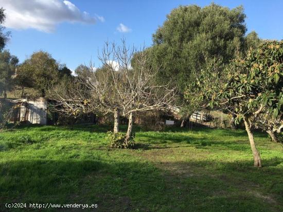 BONITA CASA DE CAMPO (PARCELA RÚSTICA) CERCANA A VEJER DE LA FRONTERA - CADIZ