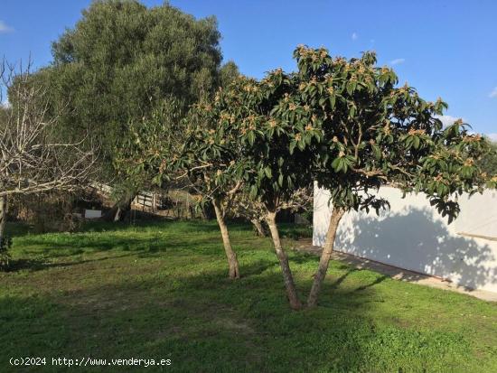 BONITA CASA DE CAMPO (PARCELA RÚSTICA) CERCANA A VEJER DE LA FRONTERA - CADIZ