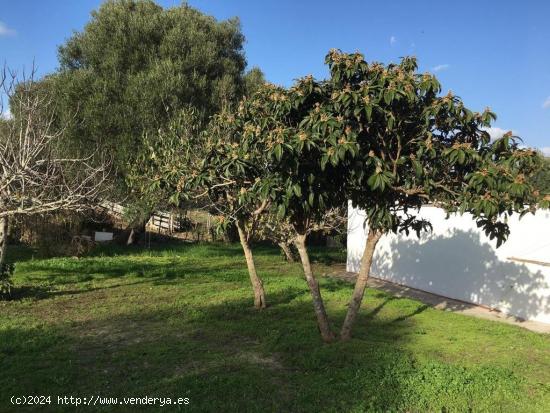 BONITA CASA DE CAMPO (PARCELA RÚSTICA) CERCANA A VEJER DE LA FRONTERA - CADIZ