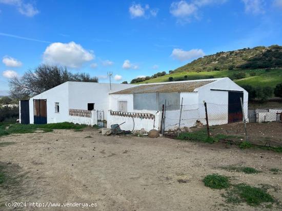 FINCA  RÚSTICA EN ZONA EL ALGAR, ENTRE VEJER DE LA FRONTERA Y MEDINA SIDONIA - CADIZ