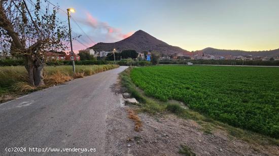 Gran terreno para el hogar de tus sueños - MURCIA