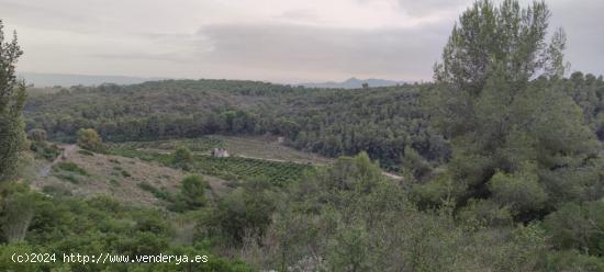  Parcela urbanizable en URBANIZACIÓN LOS ROSALES. - VALENCIA 