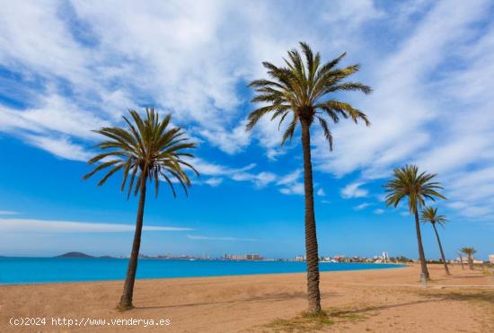 Hotel Mar Menor - MURCIA