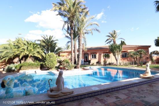 Chalet en Torrevieja El Chaparral - ALICANTE