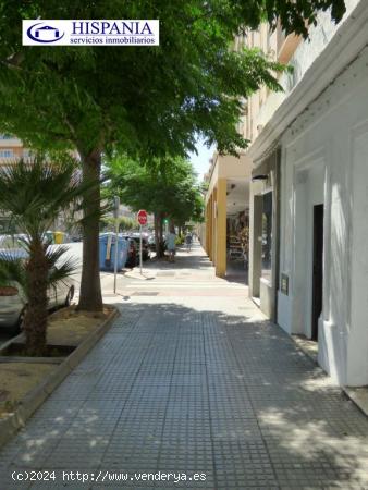 Local comercial situado en la mejor zona comercial de la Avenida principal de Cadiz - CADIZ