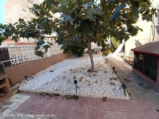 Gran apartamento reformado con 137 m2 de terraza ! - ALICANTE