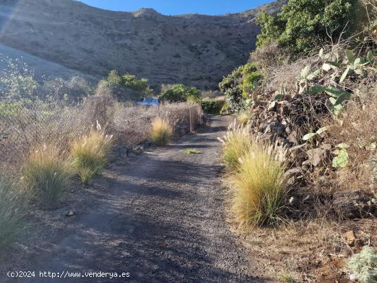 TERRENO RUSTICO NO URBANIZABLE EN GÜÍMAR - SANTA CRUZ DE TENERIFE