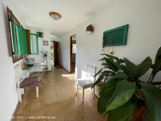 Acogedora casa con terreno en Teror - LAS PALMAS