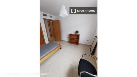 Se alquila habitación en piso de 3 habitaciones en Murcia - MURCIA