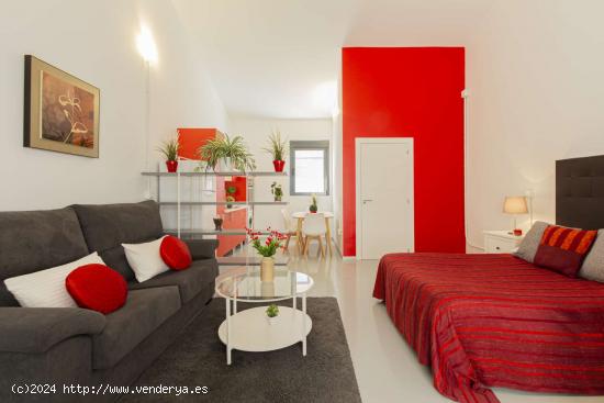  Apartamento entero de 1 habitaciones en Madrid - MADRID 
