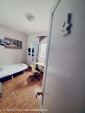  Se alquilan habitaciones en apartamento de 5 habitaciones en Playa De Las Canteras - LAS PALMAS 