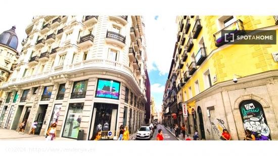 Estudio en alquiler en Madrid - MADRID