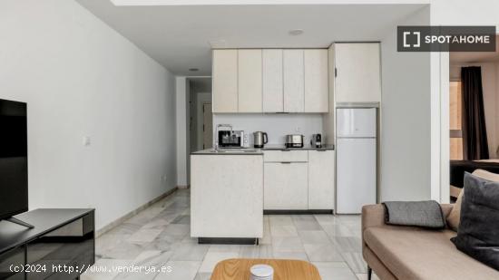 Apartamento de 1 dormitorio en alquiler en Centro - MADRID