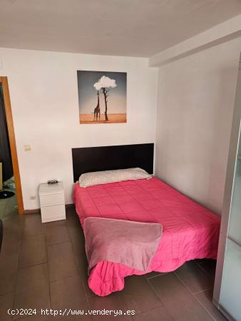  Habitación en piso compartido en Alacant - ALICANTE 