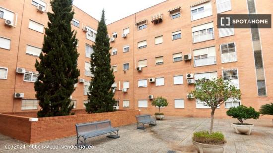 Se alquila habitación en piso de 4 habitaciones en Sevilla - SEVILLA