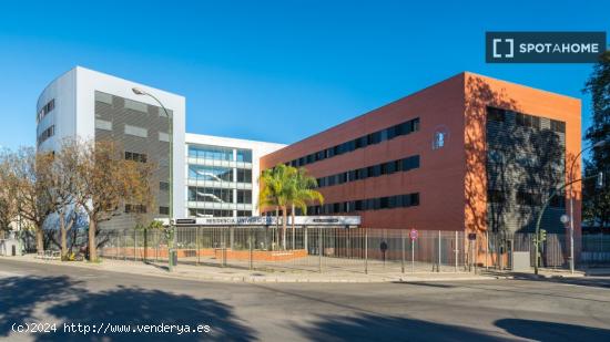 Se alquila habitación en residencia en Sevilla - SEVILLA