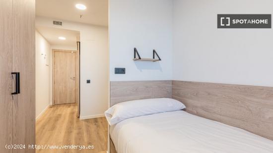 Se alquila habitación en residencia de estudiantes en Santander - CANTABRIA