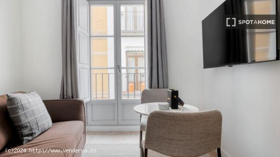 Apartamento de 1 dormitorio en alquiler en Madrid - MADRID