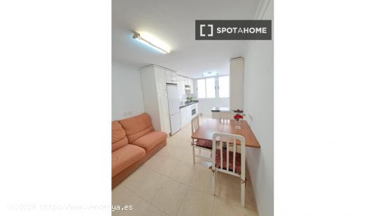 1 dormitorio en piso compartido en Alicante - ALICANTE
