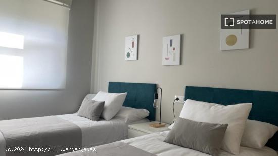 Se alquila habitación en piso de 4 habitaciones en San Paulo, Vigo - PONTEVEDRA