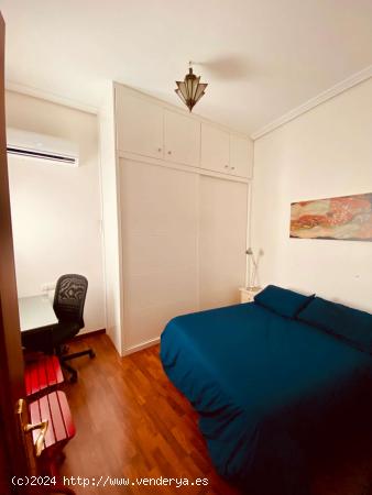  Apartamento de 1 dormitorio en alquiler en Casco Antiguo - SEVILLA 