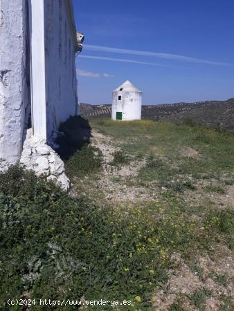 Se Vende en Alameda - MALAGA